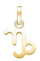 Привезок Rosefield Capricorn