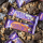 Delicious Bar 50g Vanilla + Karamel