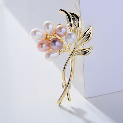 Brosh elegante Troli