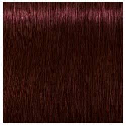 Ngjyrë për flokë Schwarzkopf Igora Royal Apsolute, 4-80, 60 ml