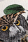 Bлок бележник Field Notes Birds And Trees Of North America, мал формат, корица со дизајн со птици и дрвја, шарен