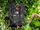 Dush kampingu Tourist Camping Solar Shower 20L, 20L, i zi