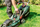 Kositëse bari Metabo RM 36-18 LTX BL 36, 18V, pa bateri, jeshile