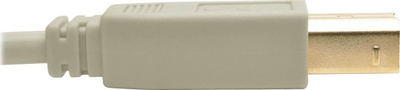 Kabllo USB Eaton Tripp Lite U022-006-BE, USB 2.0 A në B, 1.83 m, bezhë