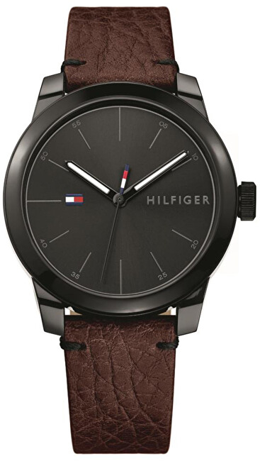 Orë dore Tommy Hilfiger Denim 1791383