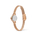 Orë për femra Daniel Wellington DW00100741, e artë rozë