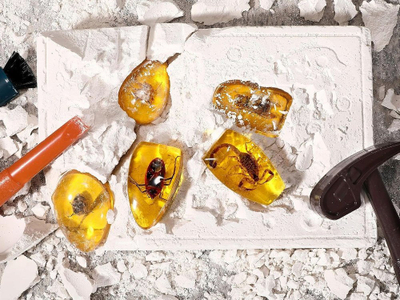 Set lodër arkeologjie Excavations Fossils of Insects Ambers ZA4725, 6 fosile insektesh, për kalamaj 6+