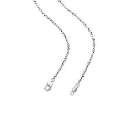 Varëse për meshkuj Emporio Armani EGS3169040, e argjendtë