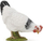 Figurë loje PAPO Farmyard Friends Pecking, pulë e bardhë, PVC