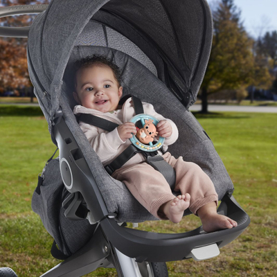 Lodër sensorike Fisher-Price Clack and Quack Goose, për foshnje 3+, me unaza shumëteksturore, e bardhë