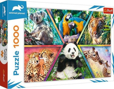 Puzzle Trefl Animal Planet Tropical Animal Kingdom, 1000 copa, shumëngjyrësh