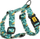 Parzmore për qen Dingo Guard Monstera S, 24-45 cm, jeshile