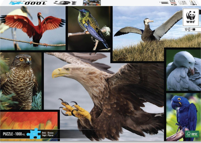 Puzzle Ambassador Birds, 1000 copa, shumëngjyrësh