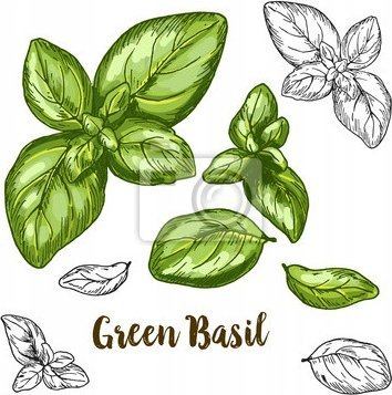 Set tenxheresh Koko Basil, 8 copë, emaluar, me bozhure borzilok