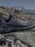 Çizme për Meshkuj, ADIDAS - JQ2217, 45.1/3