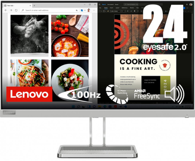 Monitor Lenovo L24i-40, 23.8", FHD IPS, 100Hz, gri