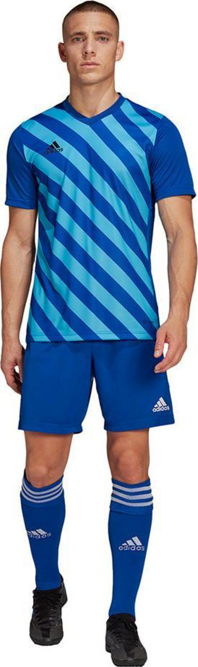 Bluzë sportive adidas Entrada 22 Graphic Jersey M HF0116, poliester i riciklum, teknologji Aeroready, blu me të bardhë