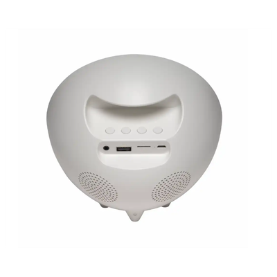 Denver Wake-Up Light Clock Radio CRLB-400
