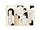 Set për trup Grace Cole Pear & Nectarine Blossom, 5 copë