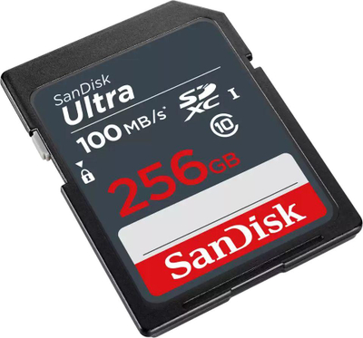 Kartë memorie SanDisk Ultra SDSDUNR 256GB, SDXC, 100MB/s, e zezë
