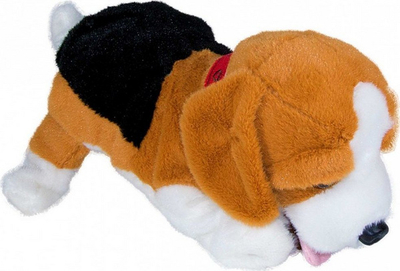 Qen lodër interaktiv Madej Figo Beagle, dëgjon komandat me zë, reagon me lëvizje e me tinguj, shumëngjyrësh