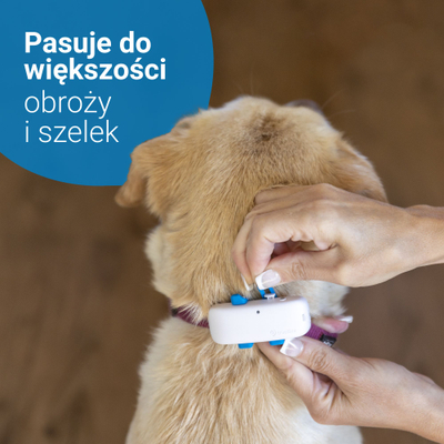 GPS gjurmues për qen Tractive DOG 4, ndjekje në kohë reale, i papërshkueshëm nga uji, i bardhë