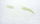 Dyshek për fëmijë Sensillo Memory Foam, 120x60 cm, mbulesë aloe vera, i bardhë