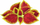 Капсули за растенија Click &amp; Grow Painted Nettle, сет 3 парчиња, декоративни, повеќебојни