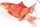 Електронска играчка за мачки Flamingo Flounder Fish, со подвижен опаш, со катнип, портокалова