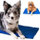 Tapet ftohës për qen Active Canis AC, madhësia L, 50x90 cm, blu