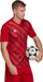 Bluzë futbolli për burra adidas Entrada 22 Graphic Jersey M HB0572, poliester, Aeroready, e kuqe