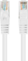 Kabllo rrjeti Lanberg Patchcord CAT 5E UTP, 0.25m, set 10 copë, e bardhë