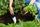 Fiskars Premium Planters Trowel