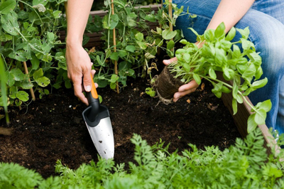 Fiskars Premium Planters Trowel