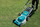 Електрична косилка за трева Makita ELM 4121, 1600W, 41cм