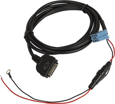 Adapter AUX makine Blaupunkt, lidhje për iPod, line in
