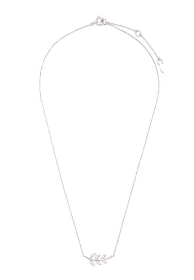 Qafore Fossil JFS00485040