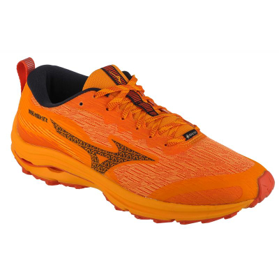 Atlete për burra Mizuno Wave Rider GTX