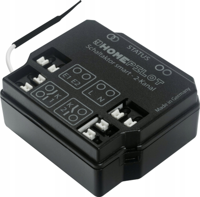 Modul smart HOMEPILOT 11941002, 2 kanale, 230V, i zi