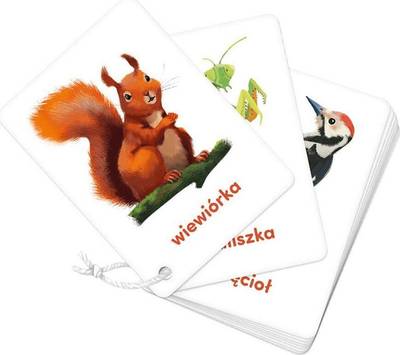 Set edukativ lojë me letra Picture Cards on a String Animals, për kalamaj 2+, shumëngjyrësh
