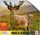Puzzle Adar Deer, 100 pjesë, shumëngjyrëshe