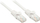 Kabllo rrjeti Lindy, UTP, CAT 6, 1 m, e bardhë