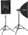 Set drite studio Walimex Pro Newcomer 100 II Double, 2x blic studio, softbox 60x90 cm, i zi