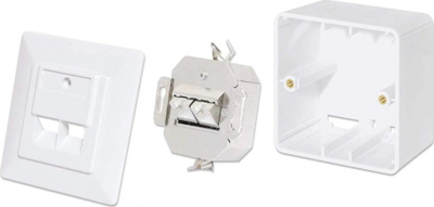 Prizë murale rrjeti Intellinet 2-Port, Cat6a 10G, e mbrojtur, e bardhë