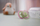 Цуцла за бебе Philips Avent Ultra Air SCF085/59, 0–6 месеци, силикон, сет 2 парчиња, розова