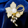Brosh elegant Troli