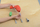 Set veglash lodër Masterkidz Tool Set With Drill, 8 elemente, për panel STEM, shumëngjyrësh