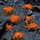 Aksesor për modelim Gamers Grass Orange Flower Tufts, 6mm, tufa lulesh për zbukurim, portokalli