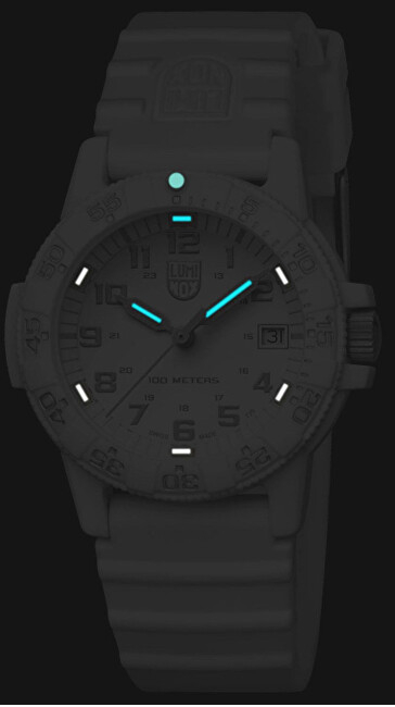 Orë dore Luminox Sea Turtle XS.0307.WO
