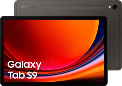 Tablet Samsung Galaxy Tab S9, 256GB, WiFi, gri